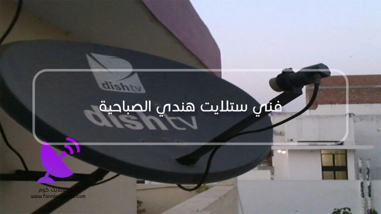 فحص LNB وكابل الستلايت في الصباحية